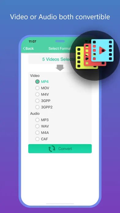 Ảnh chụp màn hình của Flash Video Converter Pro