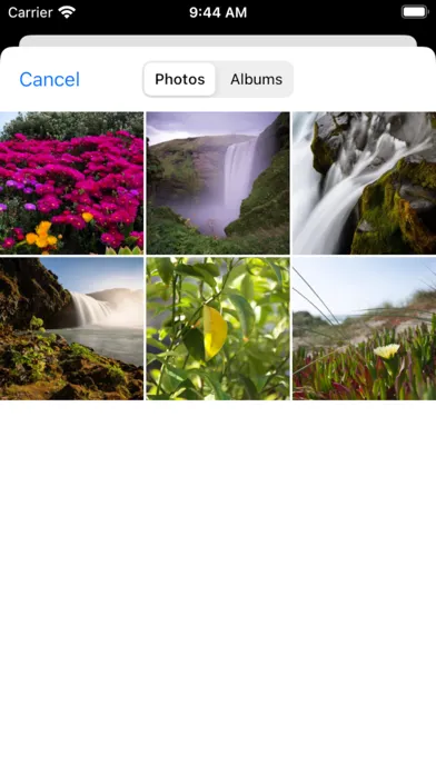 صور Rep-Tile