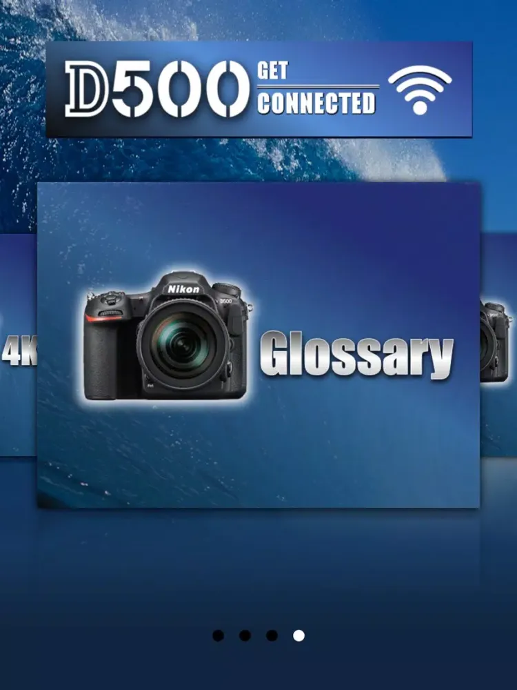 Zrzuty ekranu Nikon D500 Advanced Overview iPad 