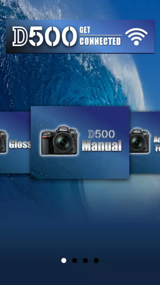 Zrzuty ekranu Nikon D500 Advanced Overview