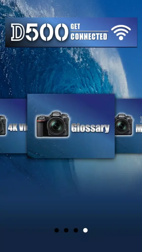 Zrzuty ekranu Nikon D500 Advanced Overview