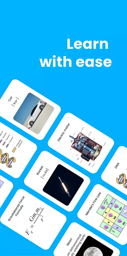 Fleengo Flashcards & Quizzes Screenshots