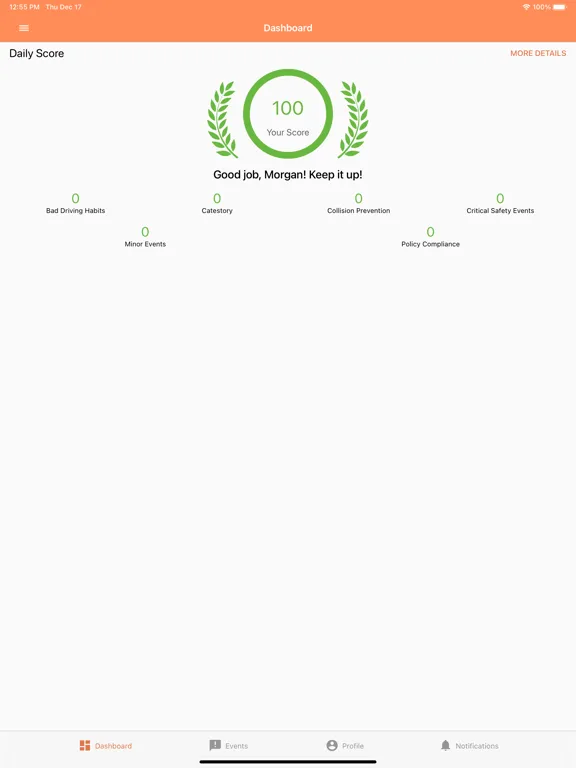 Capturas de pantalla de DriveShield iPad