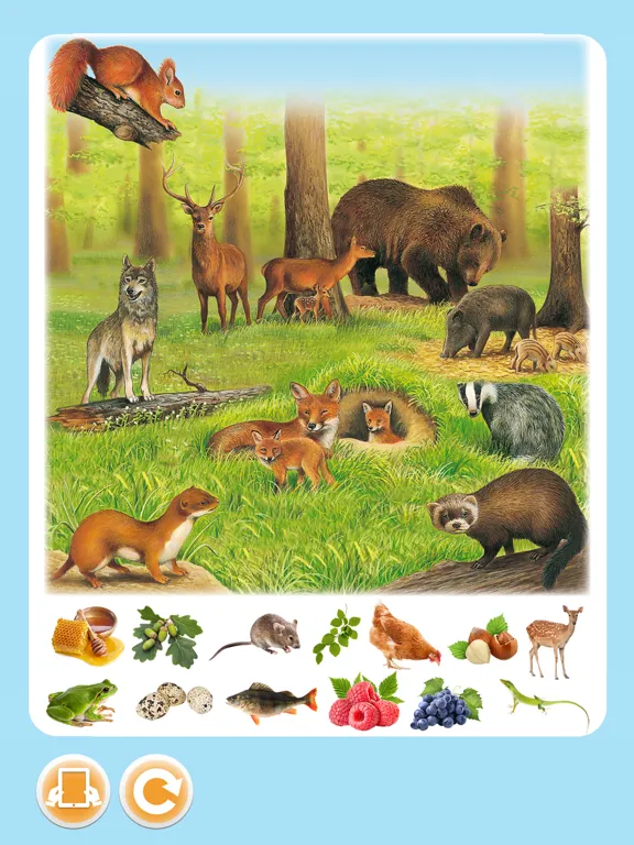 Imagerie animaux interactive iPad  Screenshots