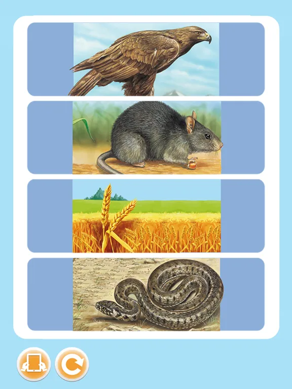 Imagerie animaux interactive iPad  Screenshots