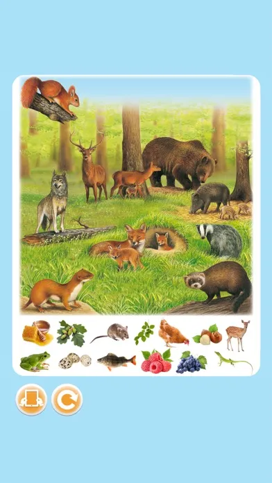 Imagerie animaux interactive Screenshots