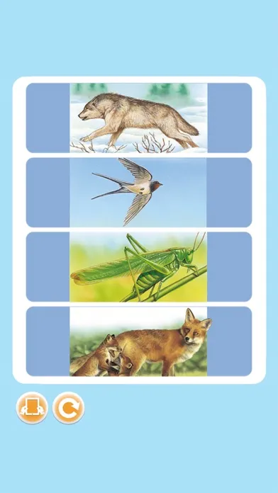 Imagerie animaux interactive Screenshots