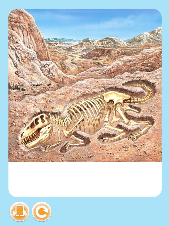Imagerie dinos & préhistoire iPad  स्क्रीनशॉट
