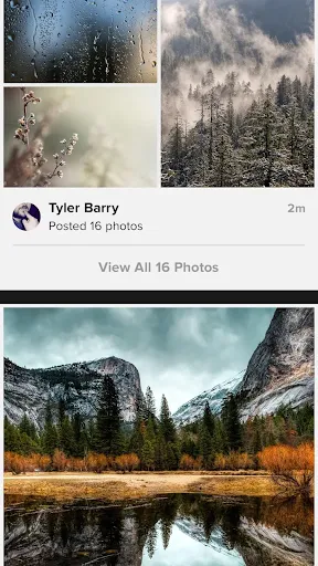 تصاویر Flickr