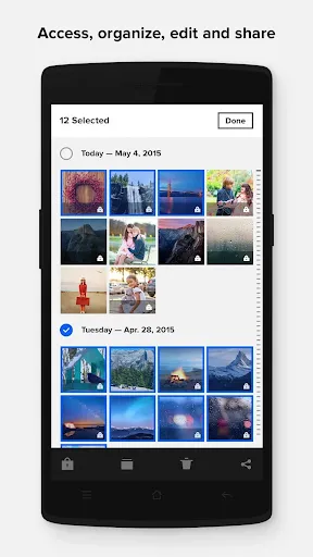 تصاویر Flickr