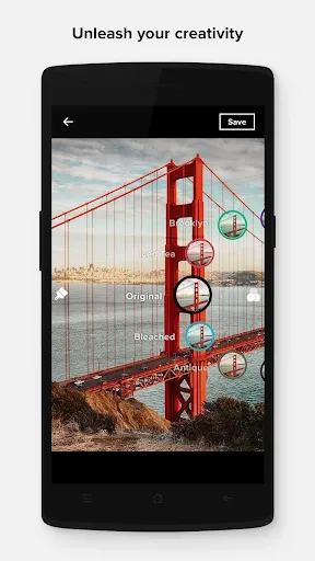 تصاویر Flickr