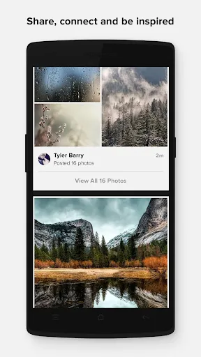 تصاویر Flickr