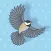 Avian Impact