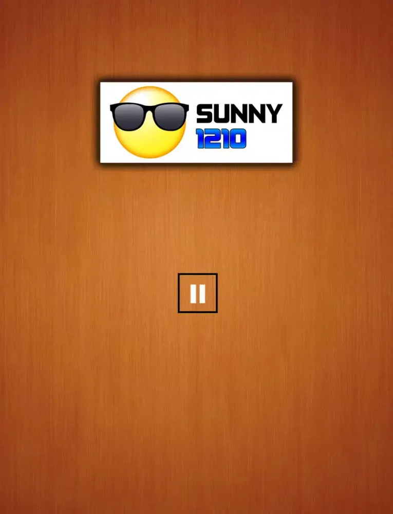 Tangkapan skrin SUNNY 1210 iPad 