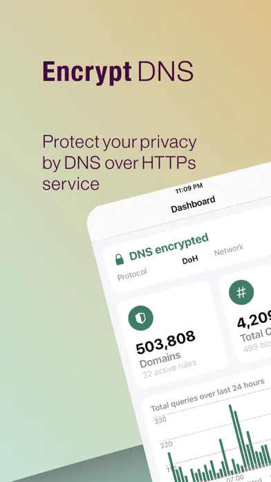 Secure DNS & Firewall Screenshots