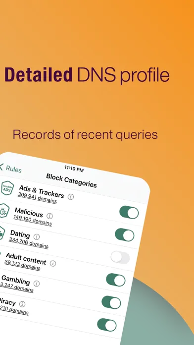 Secure DNS & Firewall Screenshots
