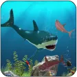Big Shark Vs Small Sharks