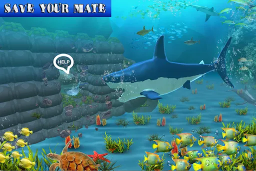 Big Shark Vs Small Sharks Screenshots