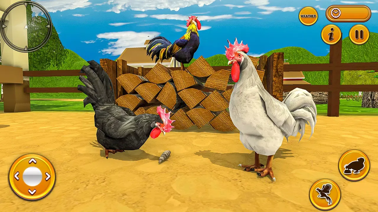Ảnh chụp màn hình của Talking Rooster