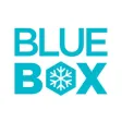 Bluebox x Flitz Agent Bluebox x Flitz Agent