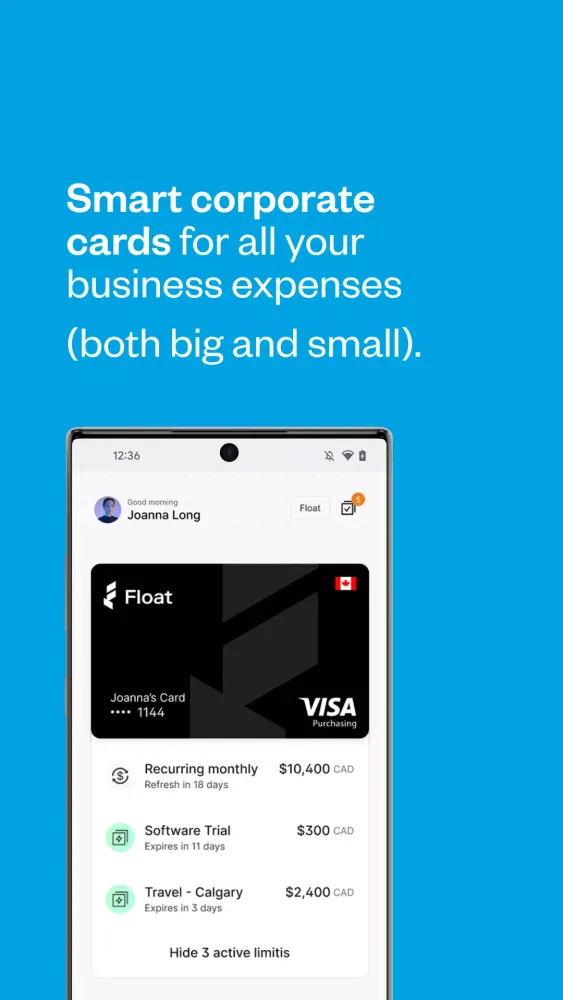 Screenshot di Float