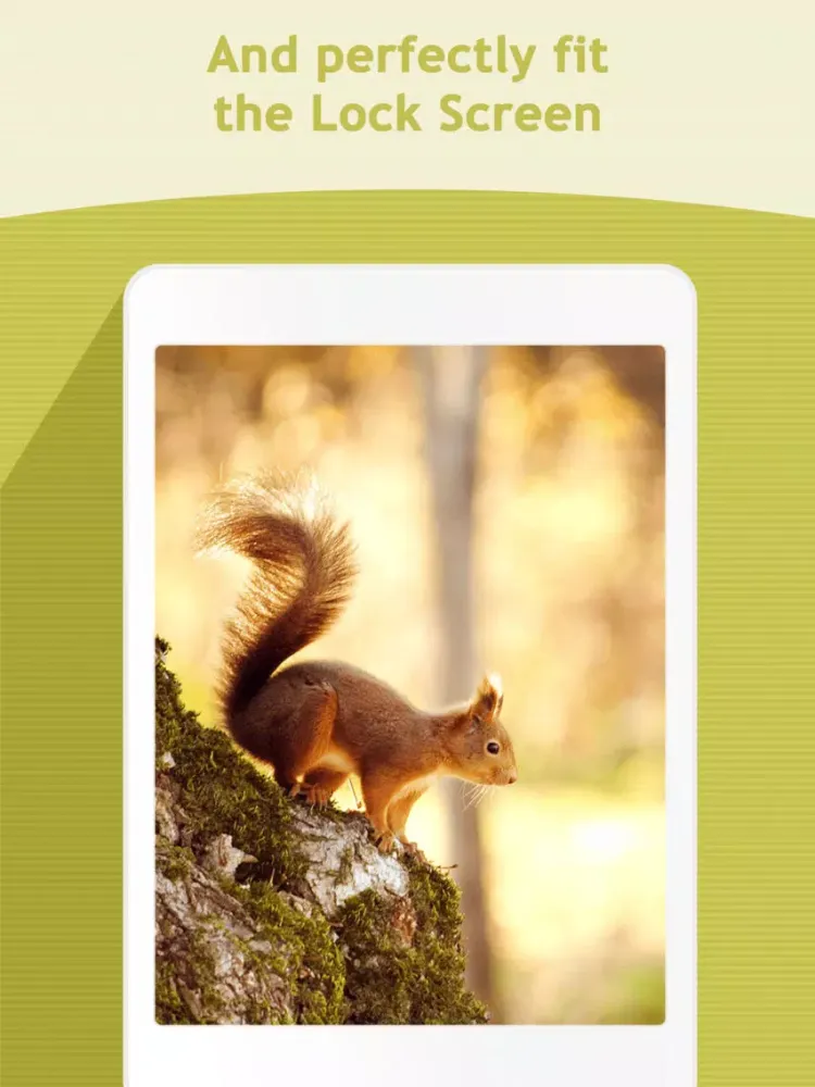 Zrzuty ekranu Screen App - HD Colorful Wallpapers Backgrounds iPad 