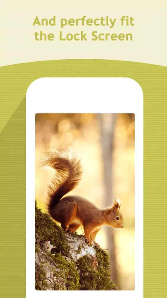 Zrzuty ekranu Screen App - HD Colorful Wallpapers Backgrounds