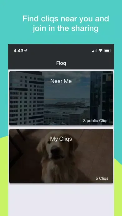 Tangkapan layar floq