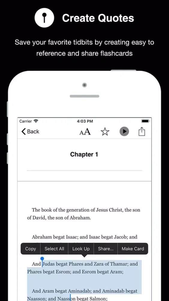 Capturas de pantalla de Bible KJV New Testament