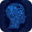 General Knowledge Trivia