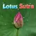 Lotus Sutra