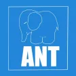 ANT attention test