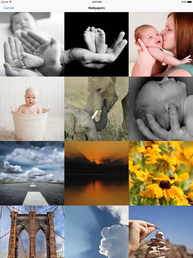 Baby Events - Count the days to your pregnancy's milestones iPad  स्क्रीनशॉट