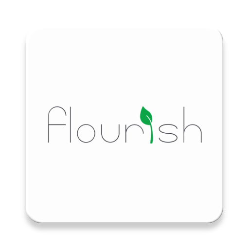 Flourish Software