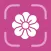 Flower Identifier - FlowerID