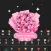 BloomBoard: Flower Language