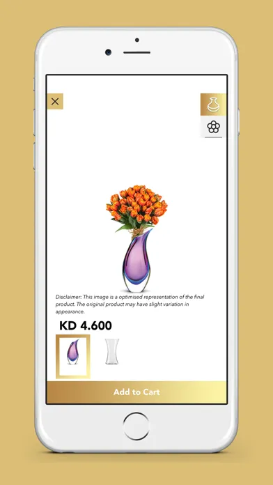 Capturas de tela do The Flower Outlet