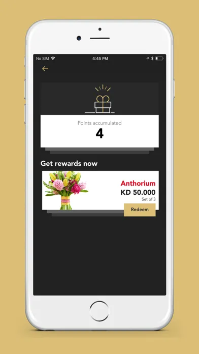 Capturas de tela do The Flower Outlet