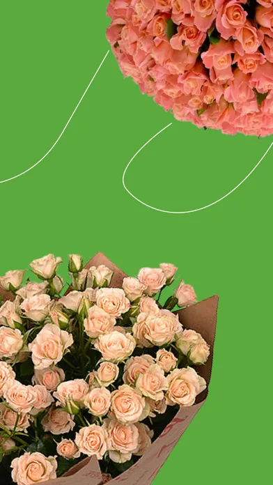 Flowers.ua - flowers delivery应用截图