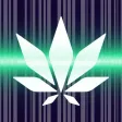 Flowhub Stash Classic