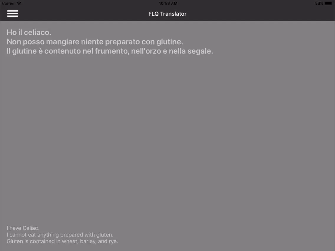 Tangkapan layar FLQ Translator iPad 