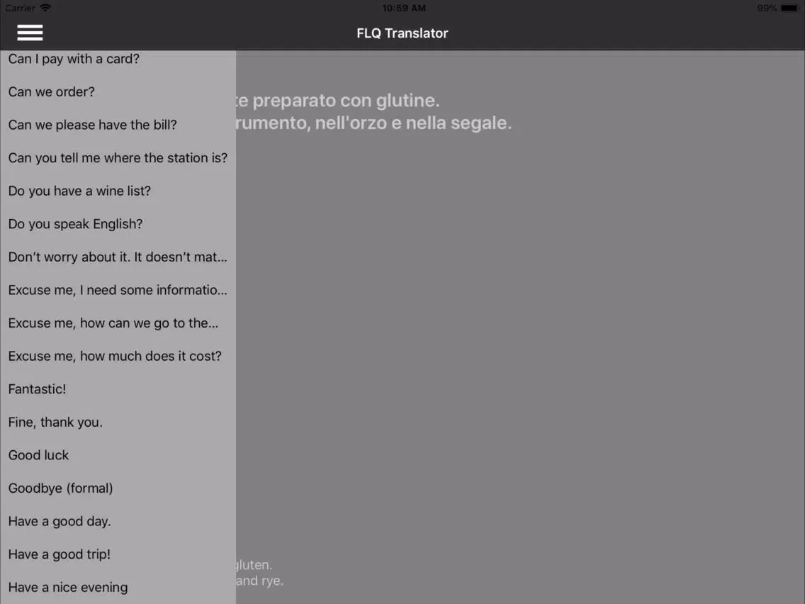 Tangkapan layar FLQ Translator iPad 