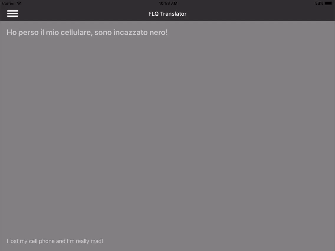 Tangkapan layar FLQ Translator iPad 