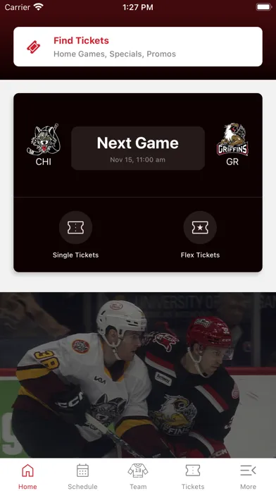 Grand Rapids Griffins Screenshots