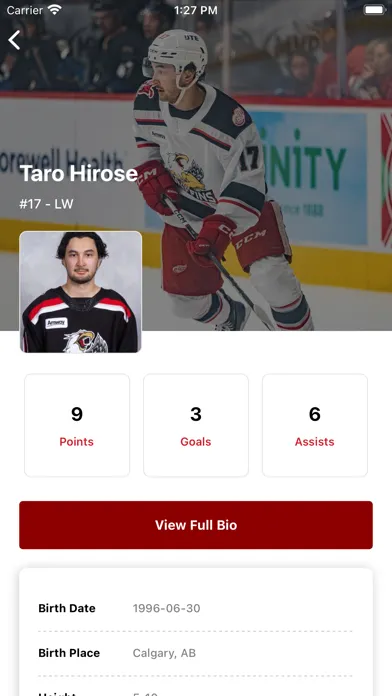 Grand Rapids Griffins Screenshots