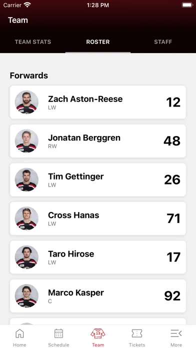 Grand Rapids Griffins Screenshots
