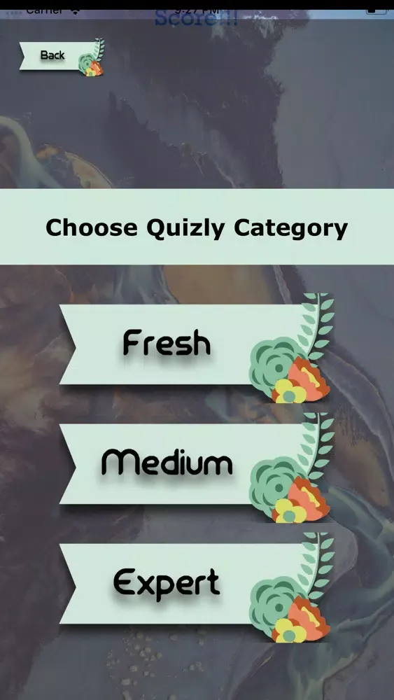 Fluid Mechanics Quizly应用截图