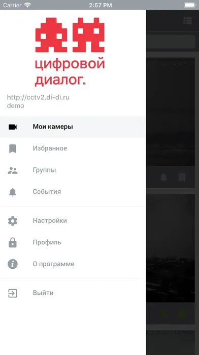 Видеонаблюдение ЦД应用截图