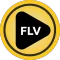 FLV Player - Media Player App