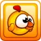 Birds Breakout